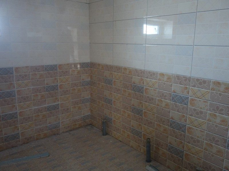 mongolia_2017_9903tjfgh